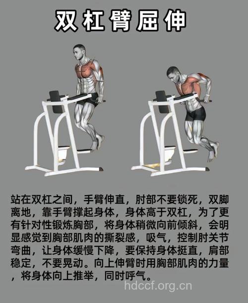 当型男,从锻炼双臂开始!