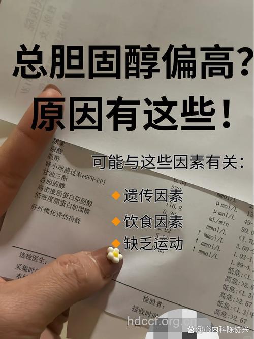 胆固醇高为啥会轮到我?