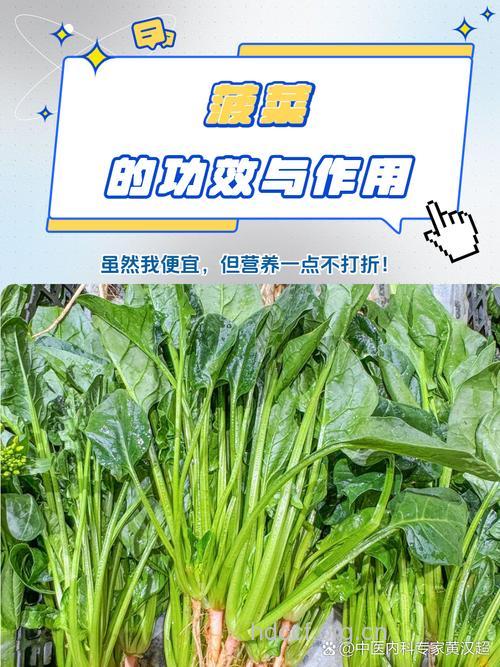 蔬菜中的“降脂军师”