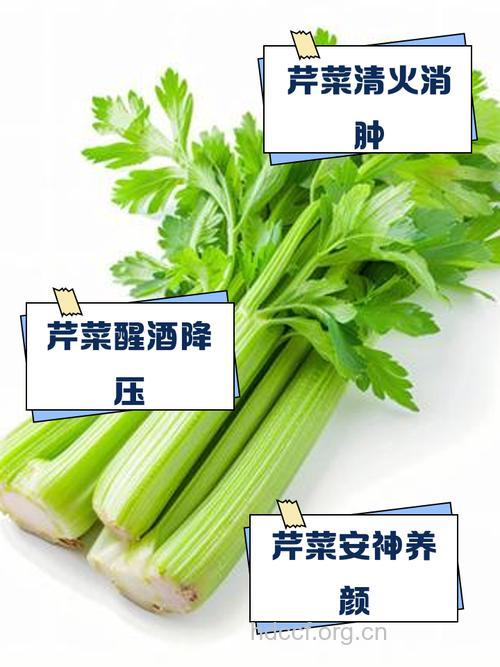 男人多吃芹菜有避孕效果