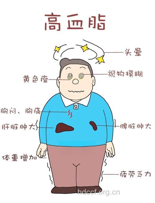 高血脂患者不要陷入误区