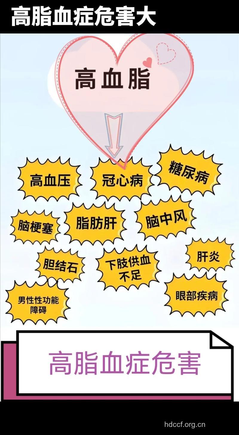 高脂血症是怎样形成的?