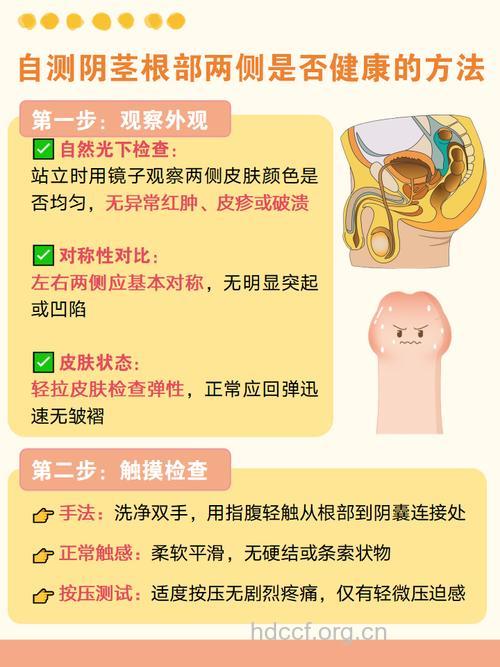 引起阴茎疼痛较不常见的原因