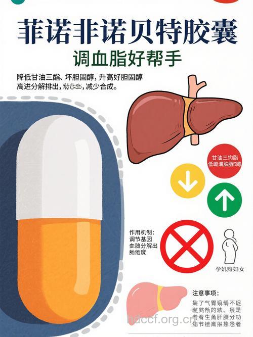 血脂异常药物调节