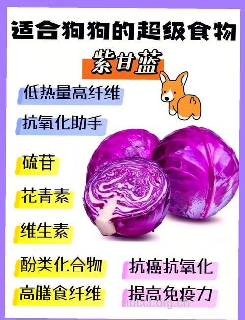 多吃紫色食品有什么好处