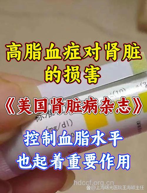 血脂高损害肾脏