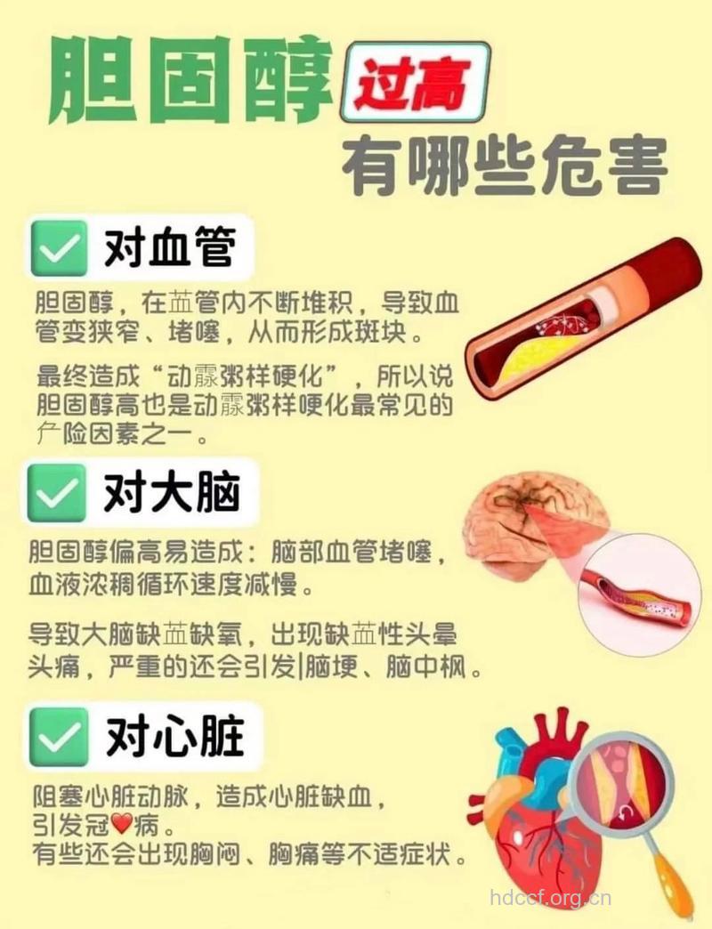 胆固醇真的那么坏吗?