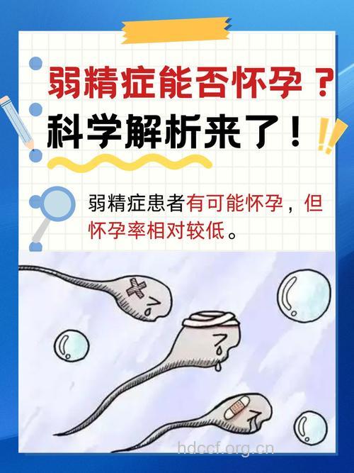 弱精症怀孕几率多大？听专家详解