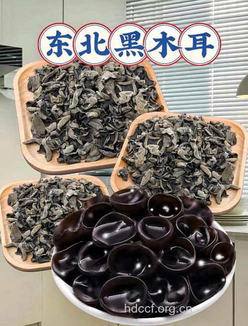 食用黑木耳犹如阿司匹林