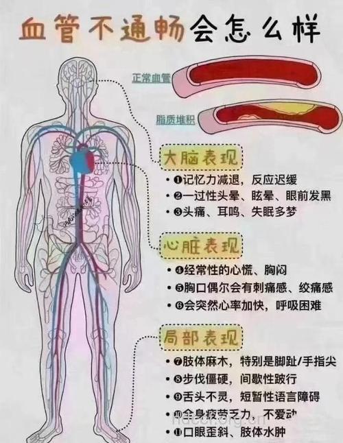 血液稍粘稠未必是病