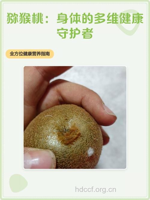 猕猴桃防心血管病有奇效!