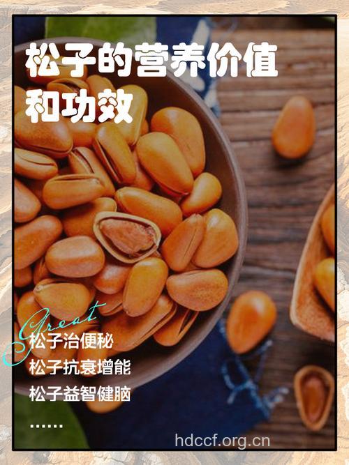 松子的功效 男人吃松子好不好