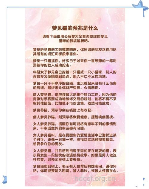 做梦梦见猫是什么意思