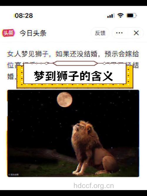 做梦梦见狮子是什么意思