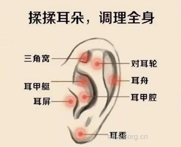 男人常摸耳朵补肾效果好