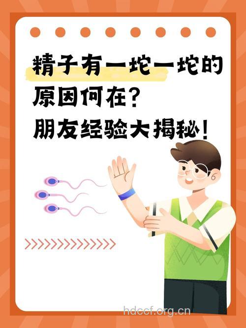 关于精子的八大传言
