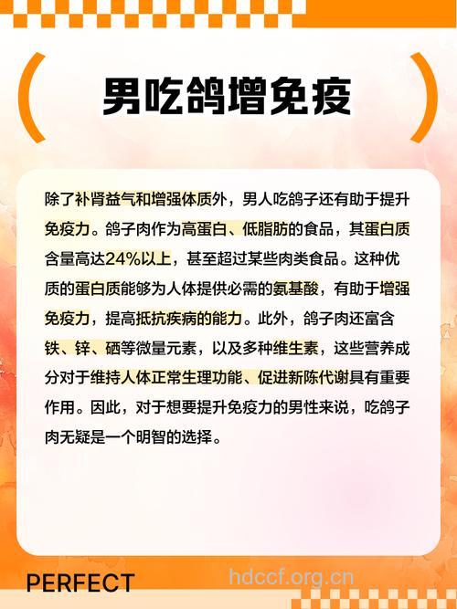 男人吃鸽子好不好