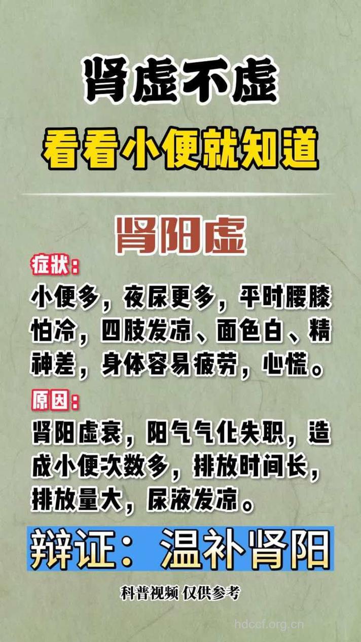 精力不足 男人肾虚的七大症状