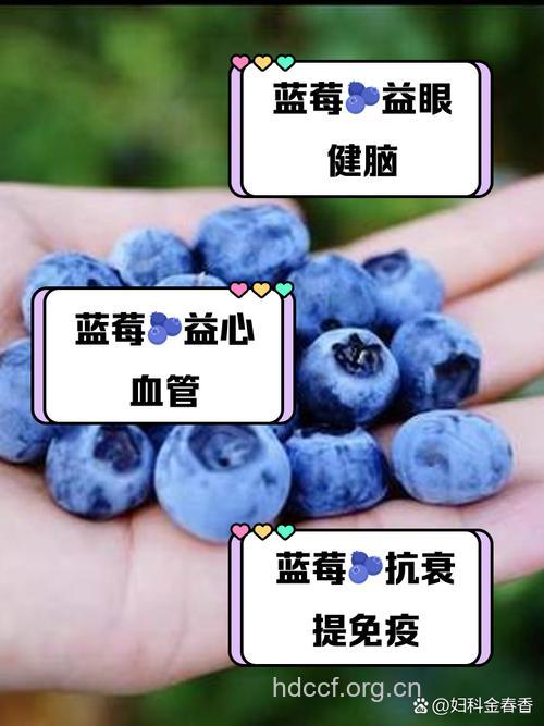 男人肾虚吃蓝莓好吗