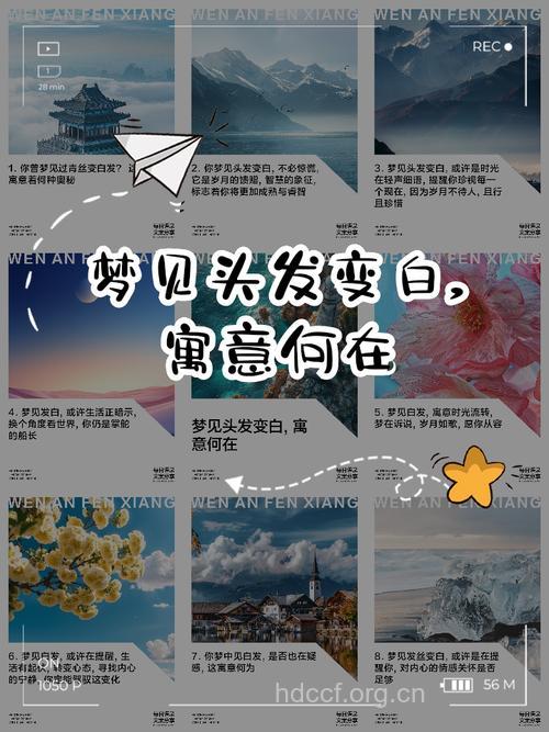 西方解梦之梦见白色是什么意思