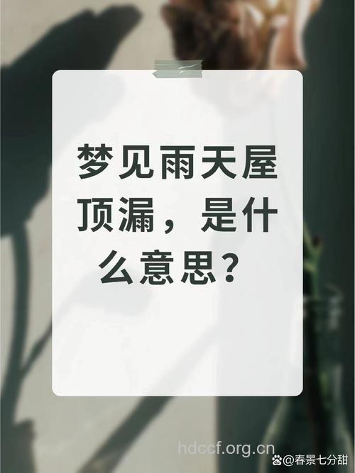 梦见屋漏偏逢连阴雨预示着什么