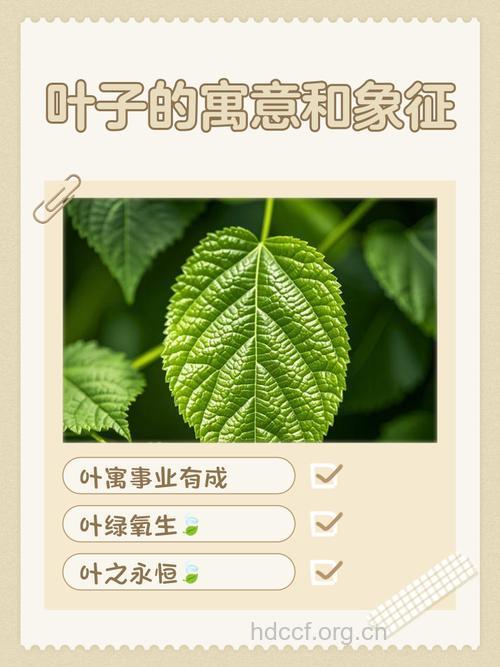 周公解梦之梦见树叶预示着什么