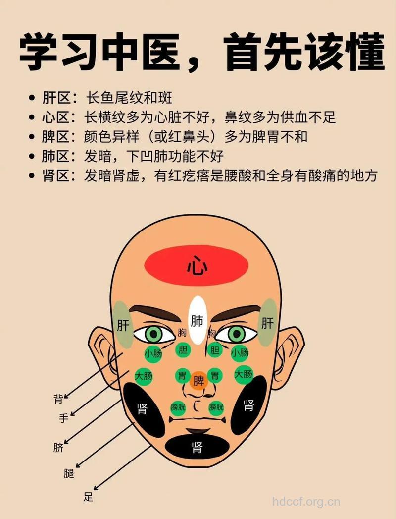 男人脸部的四个“关照”