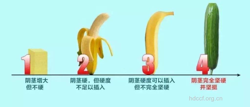 惊！男性勃起要这么长算正常