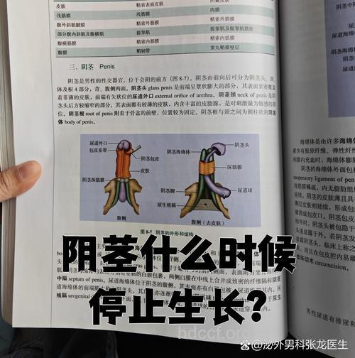 男人的生理弱点知多少