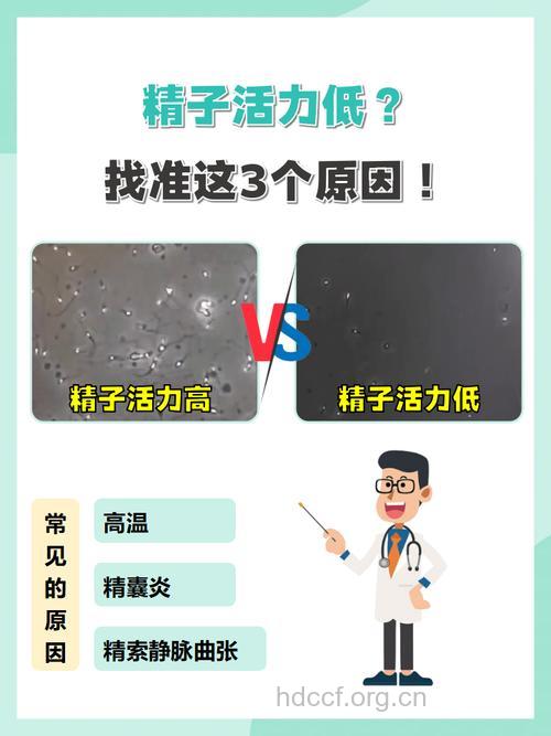 精子活力检测 精子活力低怎么办
