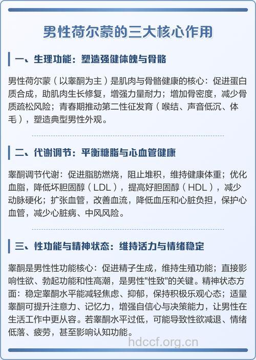 男性荷尔蒙对男人的7种重要作用