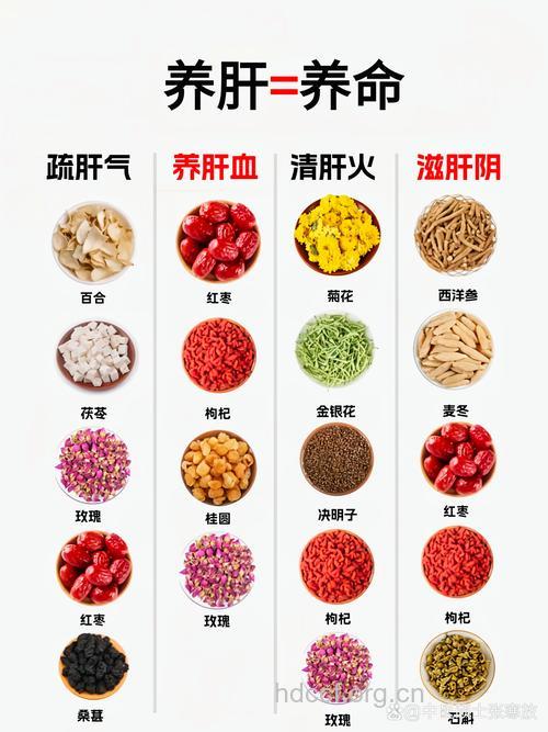 男人护肝的6大锦囊
