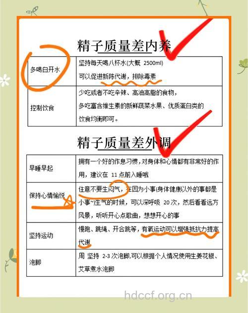 提高精子数量和质量的方法