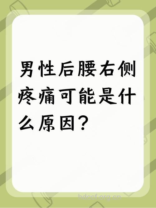 男人为什么会腰痛