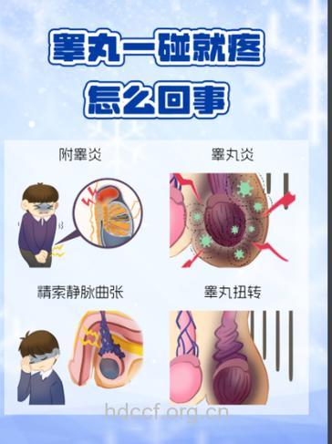 为什么睾丸炎会导致不育呢