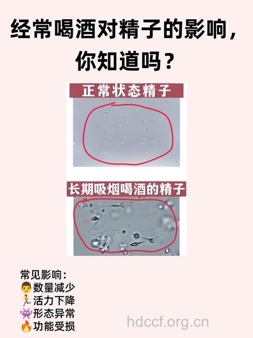 喝酒对精子影响有多大