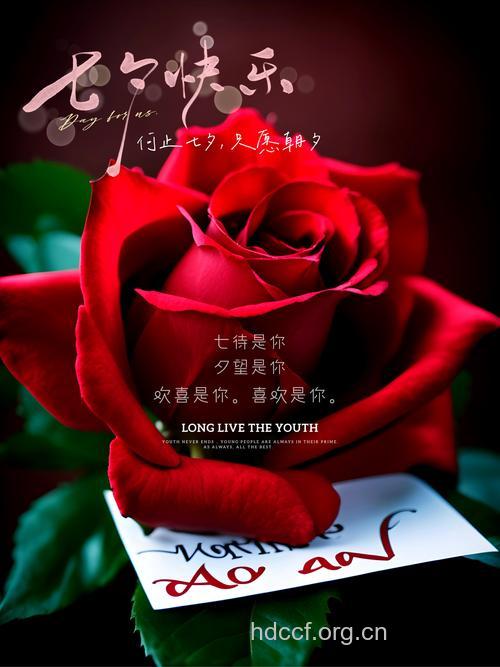 爱在七夕情人节 爱在青春年少时
