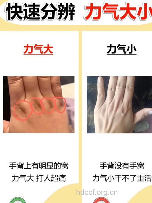 从男人的手掌看出性能力