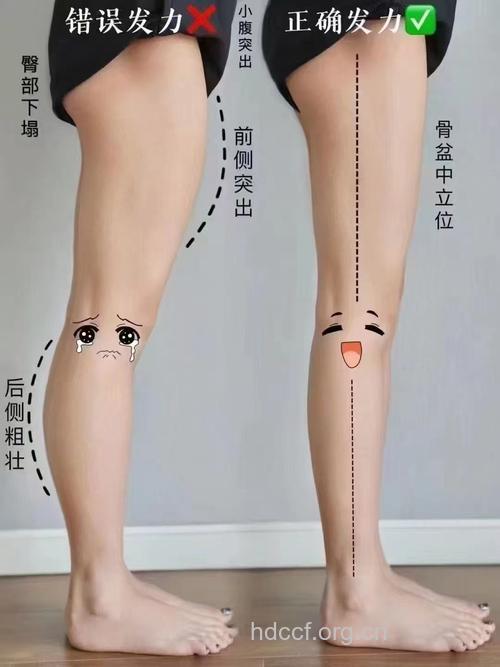白领的你关节还灵活吗