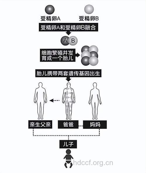 基因突变与男性不育有什么关系
