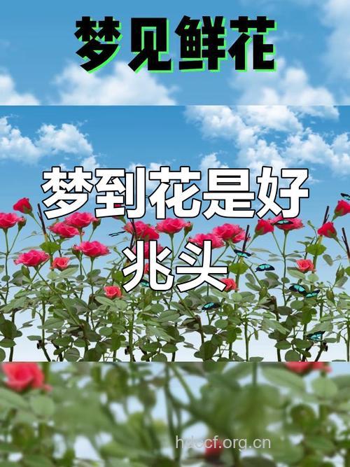 周公解梦之梦见鲜花预示着什么