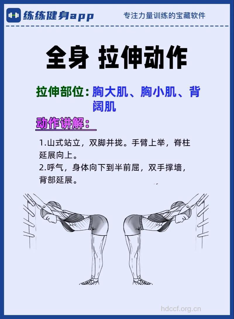 哪些伸展运动让你身形健美
