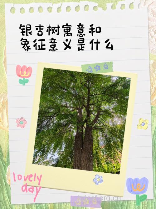 梦见树 树木预示着什么