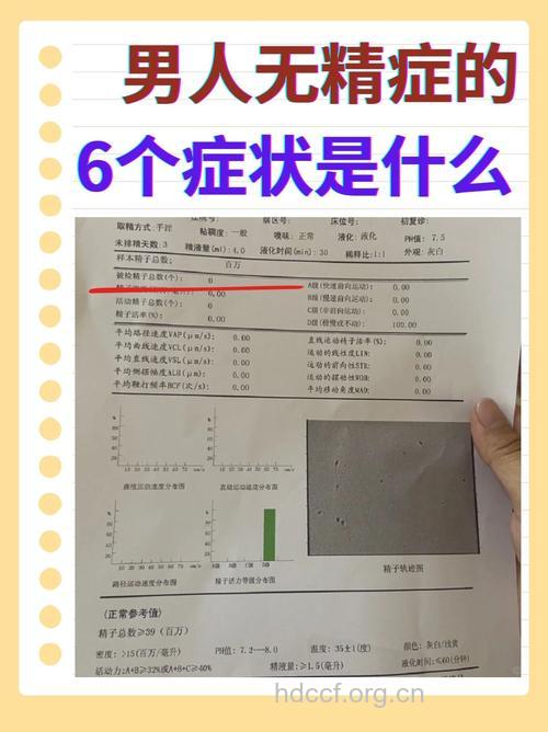 无精症的病理症状是哪些