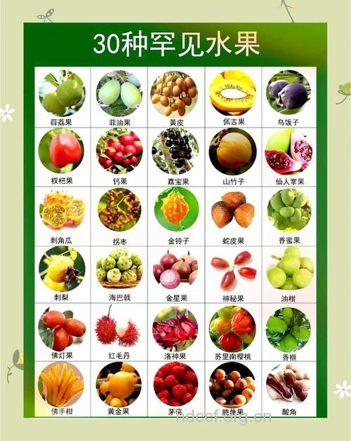 可以增强男人记忆力的三种水果