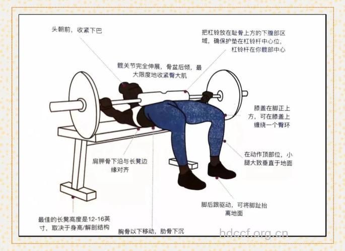 臀部保养 男性臀部的锻炼方法有哪些
