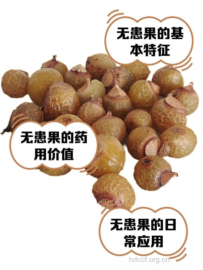 患上无精症的三大恶果