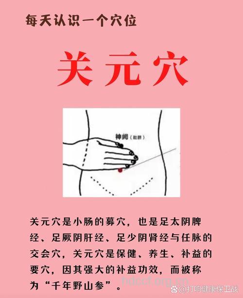 男性保健的要穴—关元穴