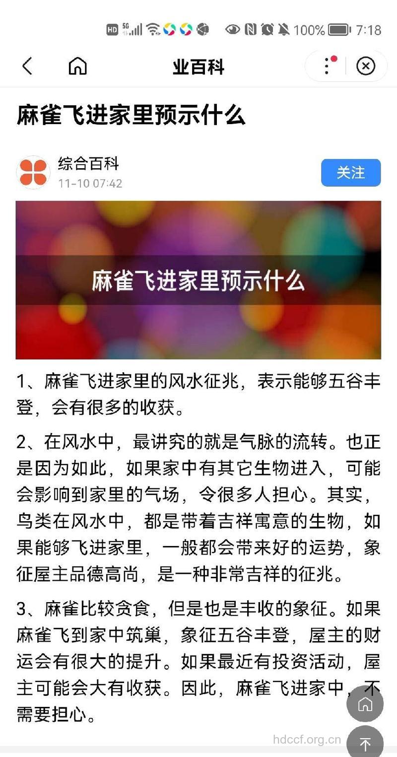周公解梦之梦见麻雀预示着什么