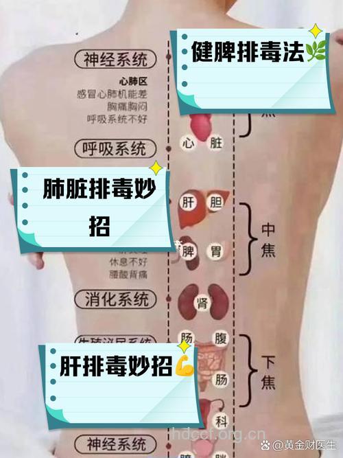 男性排毒五规则
